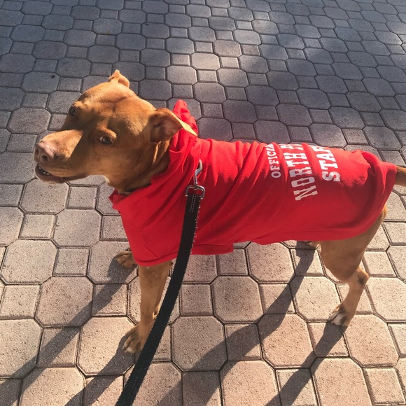 Wondershop Other - Wondershop Dog Hoodie, Size Large - Great Christmas Outfit for Your Pet